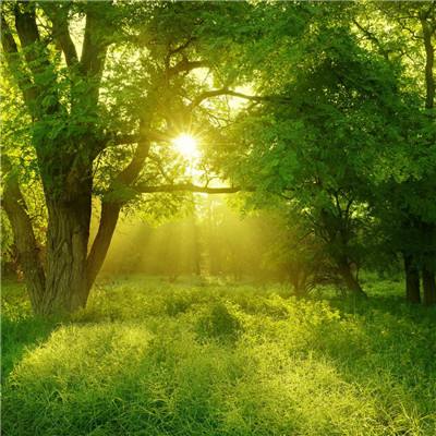 万博manxbet官方下载手机版截图